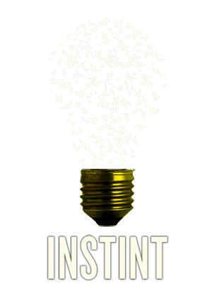 INSTINT